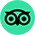 trip-advisor