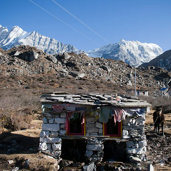 Langtang Tamang Heritage Trek